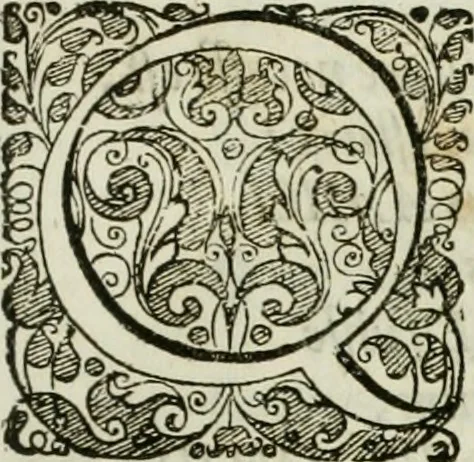 An illustration from Opera historica et philologica, sacra et profana. In quibus historia Boica, res augustanae, conversio & passio ss. martyrum Afrae, Hilariae, Dignae [et al.] ... continentur, 1682, leaf 94