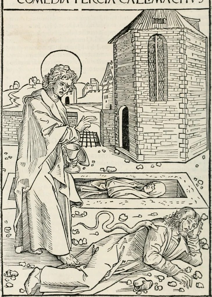 An illustration from Opera Hrosuite : illustris uirginis et monialis Germane, gente Saxonico orte, 1501, leaf 29