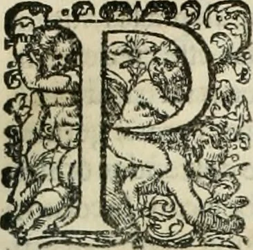 An illustration from Opera Ioan. Goropii Becani, hactenus in lucum non edita: nempe, Hermathena, Heiroglyphica, Vertumnus, Gallica, Francica, Hispanica, 1580, leaf 1012