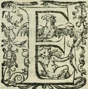 An illustration from Opera Ioan. Goropii Becani, hactenus in lucum non edita: nempe, Hermathena, Heiroglyphica, Vertumnus, Gallica, Francica, Hispanica, 1580, leaf 1040