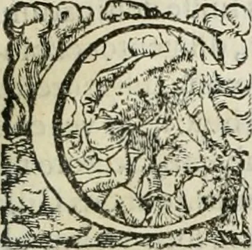An illustration from Opera Ioan. Goropii Becani, hactenus in lucum non edita: nempe, Hermathena, Heiroglyphica, Vertumnus, Gallica, Francica, Hispanica, 1580, leaf 1080