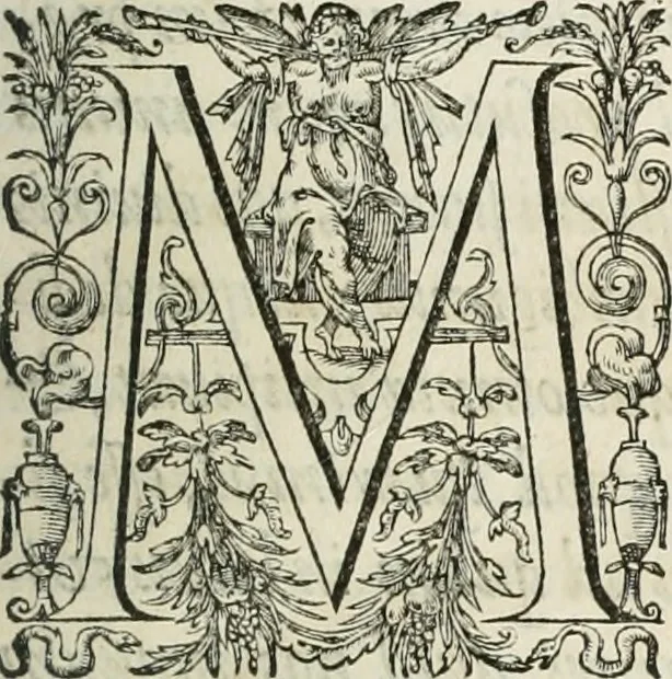 An illustration from Opera Ioan. Goropii Becani, hactenus in lucum non edita: nempe, Hermathena, Heiroglyphica, Vertumnus, Gallica, Francica, Hispanica, 1580, leaf 12