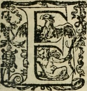 An illustration from Opera Ioan. Goropii Becani, hactenus in lucum non edita: nempe, Hermathena, Heiroglyphica, Vertumnus, Gallica, Francica, Hispanica, 1580, leaf 172