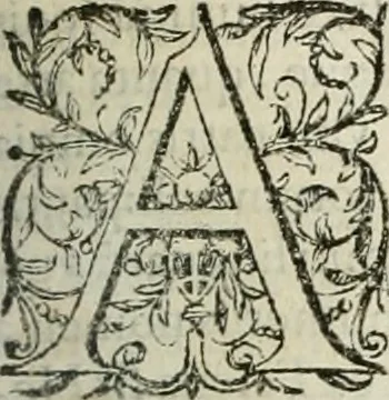 An illustration from Opera Ioan. Goropii Becani, hactenus in lucum non edita: nempe, Hermathena, Heiroglyphica, Vertumnus, Gallica, Francica, Hispanica, 1580, leaf 212