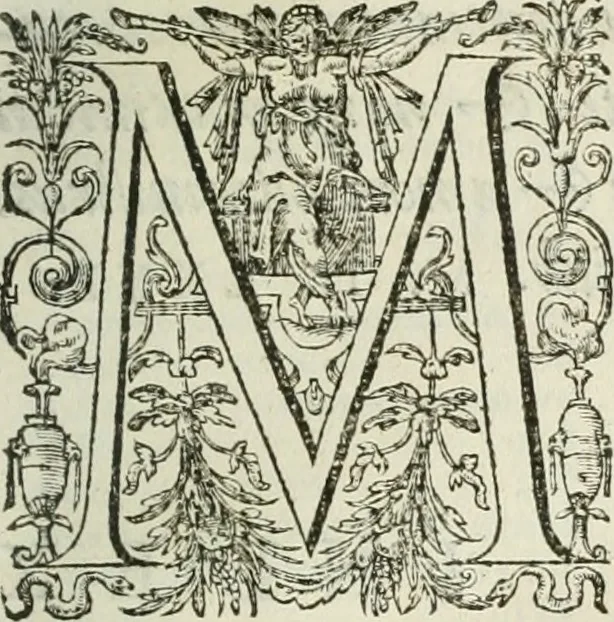 An illustration from Opera Ioan. Goropii Becani, hactenus in lucum non edita: nempe, Hermathena, Heiroglyphica, Vertumnus, Gallica, Francica, Hispanica, 1580, leaf 278