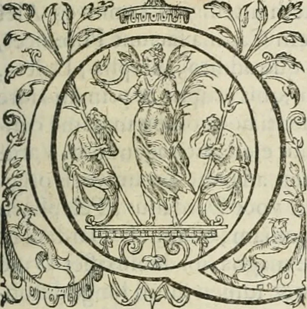 An illustration from Opera Ioan. Goropii Becani, hactenus in lucum non edita: nempe, Hermathena, Heiroglyphica, Vertumnus, Gallica, Francica, Hispanica, 1580, leaf 292