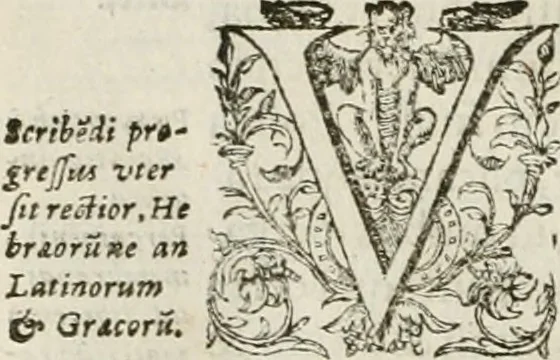 An illustration from Opera Ioan. Goropii Becani, hactenus in lucum non edita: nempe, Hermathena, Heiroglyphica, Vertumnus, Gallica, Francica, Hispanica, 1580, leaf 323