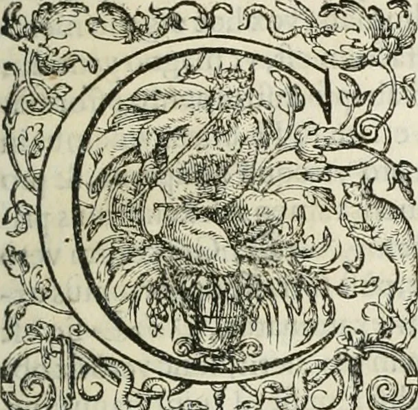 An illustration from Opera Ioan. Goropii Becani, hactenus in lucum non edita: nempe, Hermathena, Heiroglyphica, Vertumnus, Gallica, Francica, Hispanica, 1580, leaf 36