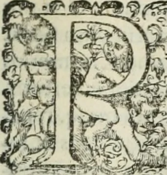 An illustration from Opera Ioan. Goropii Becani, hactenus in lucum non edita: nempe, Hermathena, Heiroglyphica, Vertumnus, Gallica, Francica, Hispanica, 1580, leaf 406
