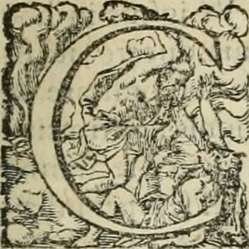 An illustration from Opera Ioan. Goropii Becani, hactenus in lucum non edita: nempe, Hermathena, Heiroglyphica, Vertumnus, Gallica, Francica, Hispanica, 1580, leaf 432