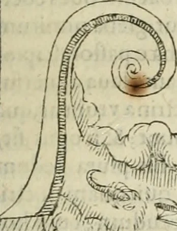 An illustration from Opera Ioan. Goropii Becani, hactenus in lucum non edita: nempe, Hermathena, Heiroglyphica, Vertumnus, Gallica, Francica, Hispanica, 1580, leaf 434