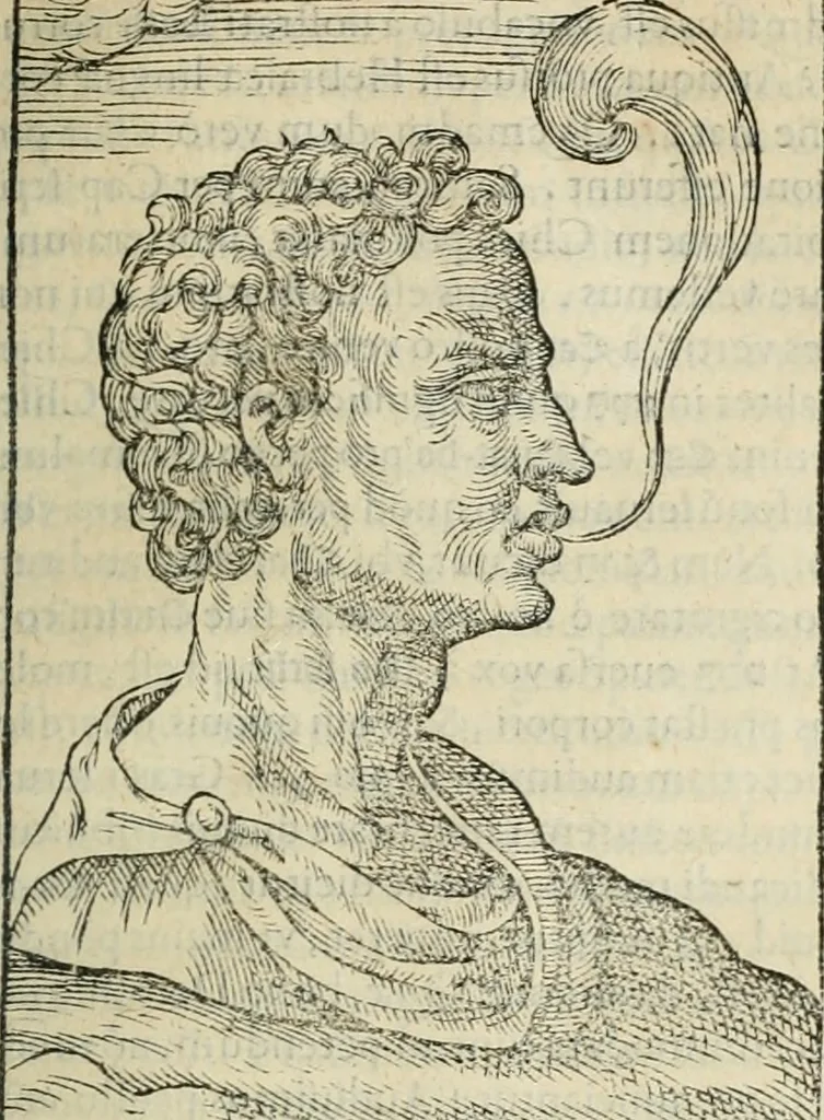 An illustration from Opera Ioan. Goropii Becani, hactenus in lucum non edita: nempe, Hermathena, Heiroglyphica, Vertumnus, Gallica, Francica, Hispanica, 1580, leaf 460