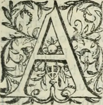 An illustration from Opera Ioan. Goropii Becani, hactenus in lucum non edita: nempe, Hermathena, Heiroglyphica, Vertumnus, Gallica, Francica, Hispanica, 1580, leaf 472