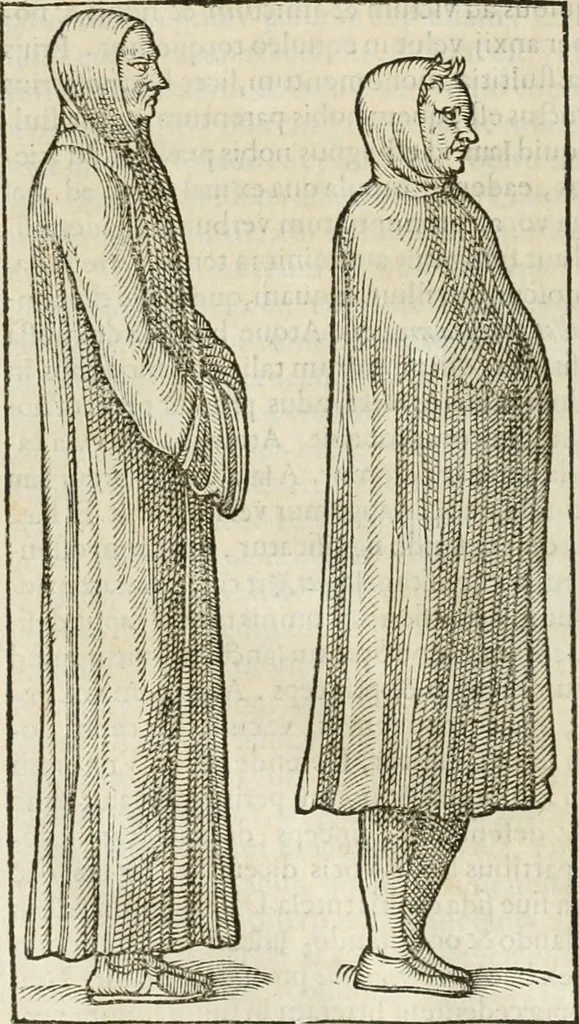 An illustration from Opera Ioan. Goropii Becani, hactenus in lucum non edita: nempe, Hermathena, Heiroglyphica, Vertumnus, Gallica, Francica, Hispanica, 1580, leaf 475