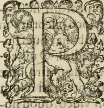 An illustration from Opera Ioan. Goropii Becani, hactenus in lucum non edita: nempe, Hermathena, Heiroglyphica, Vertumnus, Gallica, Francica, Hispanica, 1580, leaf 491