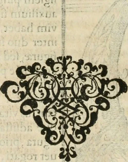 An illustration from Opera Ioan. Goropii Becani, hactenus in lucum non edita: nempe, Hermathena, Heiroglyphica, Vertumnus, Gallica, Francica, Hispanica, 1580, leaf 501