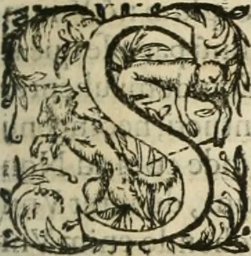 An illustration from Opera Ioan. Goropii Becani, hactenus in lucum non edita: nempe, Hermathena, Heiroglyphica, Vertumnus, Gallica, Francica, Hispanica, 1580, leaf 502