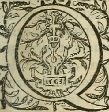 An illustration from Opera Ioan. Goropii Becani, hactenus in lucum non edita: nempe, Hermathena, Heiroglyphica, Vertumnus, Gallica, Francica, Hispanica, 1580, leaf 538
