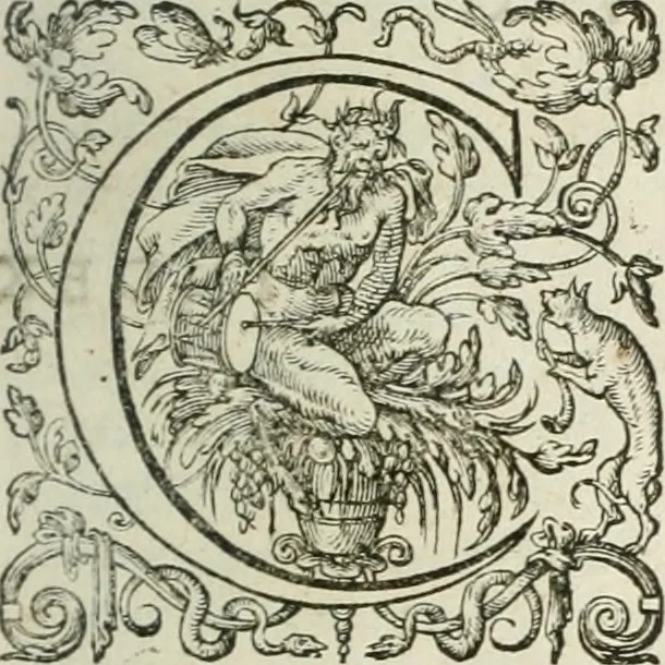 An illustration from Opera Ioan. Goropii Becani, hactenus in lucum non edita: nempe, Hermathena, Heiroglyphica, Vertumnus, Gallica, Francica, Hispanica, 1580, leaf 566