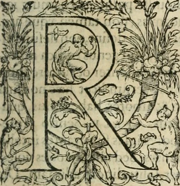 An illustration from Opera Ioan. Goropii Becani, hactenus in lucum non edita: nempe, Hermathena, Heiroglyphica, Vertumnus, Gallica, Francica, Hispanica, 1580, leaf 576