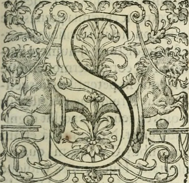 An illustration from Opera Ioan. Goropii Becani, hactenus in lucum non edita: nempe, Hermathena, Heiroglyphica, Vertumnus, Gallica, Francica, Hispanica, 1580, leaf 704