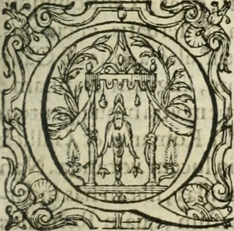 An illustration from Opera Ioan. Goropii Becani, hactenus in lucum non edita: nempe, Hermathena, Heiroglyphica, Vertumnus, Gallica, Francica, Hispanica, 1580, leaf 732