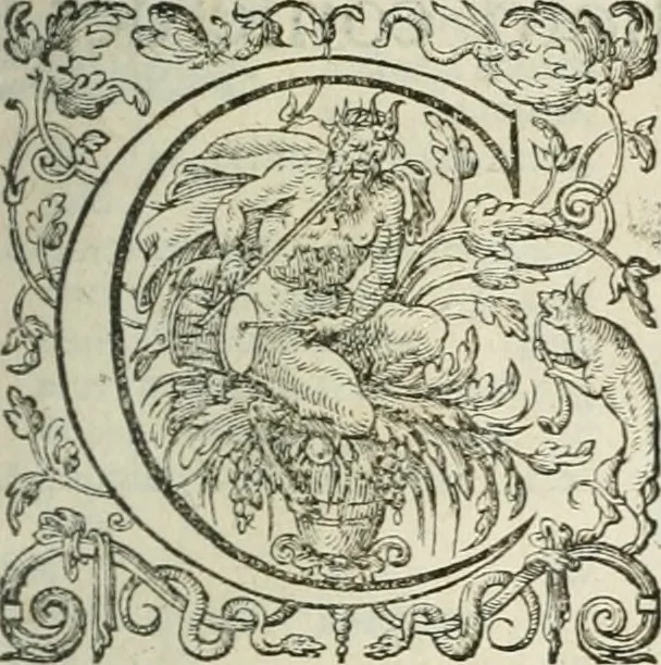 An illustration from Opera Ioan. Goropii Becani, hactenus in lucum non edita: nempe, Hermathena, Heiroglyphica, Vertumnus, Gallica, Francica, Hispanica, 1580, leaf 866
