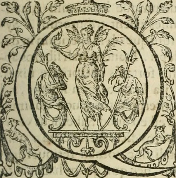 An illustration from Opera Ioan. Goropii Becani, hactenus in lucum non edita: nempe, Hermathena, Heiroglyphica, Vertumnus, Gallica, Francica, Hispanica, 1580, leaf 876