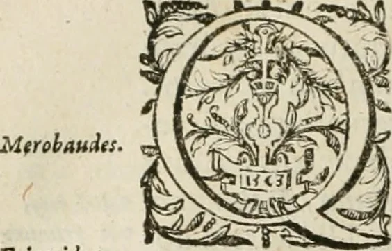 An illustration from Opera Ioan. Goropii Becani, hactenus in lucum non edita: nempe, Hermathena, Heiroglyphica, Vertumnus, Gallica, Francica, Hispanica, 1580, leaf 933