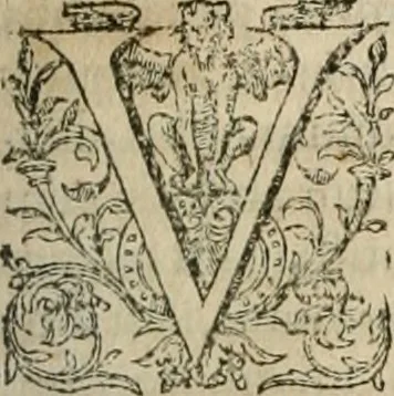 An illustration from Opera Ioan. Goropii Becani, hactenus in lucum non edita: nempe, Hermathena, Heiroglyphica, Vertumnus, Gallica, Francica, Hispanica, 1580, leaf 966