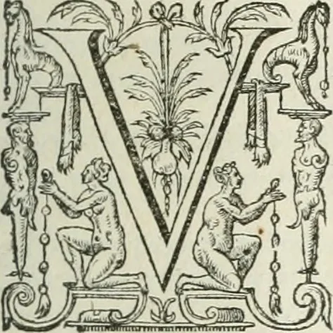 An illustration from Opera Ioan. Goropii Becani, hactenus in lucum non edita: nempe, Hermathena, Heiroglyphica, Vertumnus, Gallica, Francica, Hispanica, 1580, leaf 986