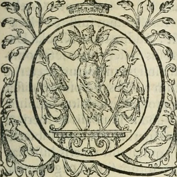 An illustration from Opera Ioan. Goropii Becani, hactenus in lucum non edita: nempe, Hermathena, Heiroglyphica, Vertumnus, Gallica, Francica, Hispanica, 1580, leaf 998