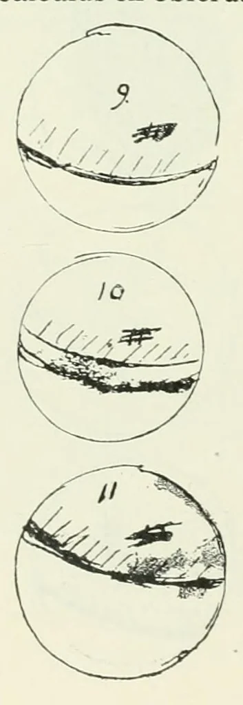 An illustration from Opera omnia, edidit I.L.E. Dreyer, 1913, leaf 44