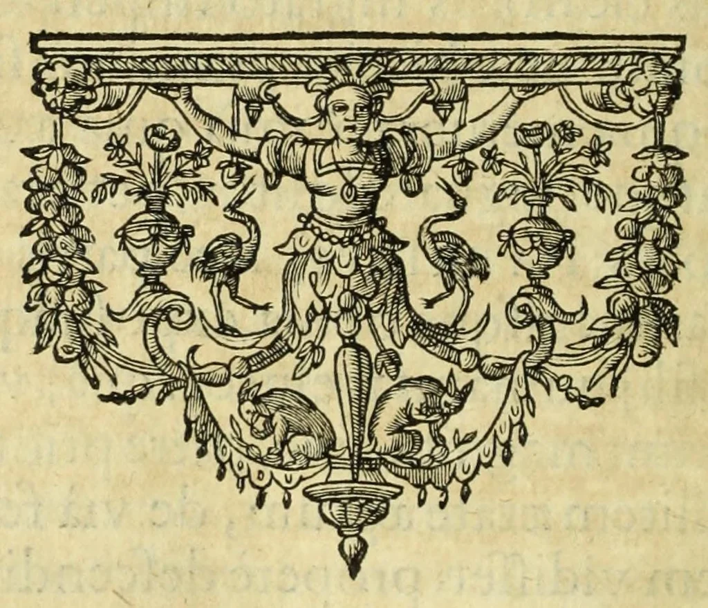 An illustration from Opera omnia, septem tomis distincta, postremum aucta & recognita, 1614, leaf 240