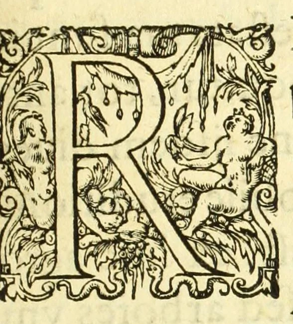 An illustration from Opera omnia, septem tomis distincta, postremum aucta & recognita, 1614, leaf 259