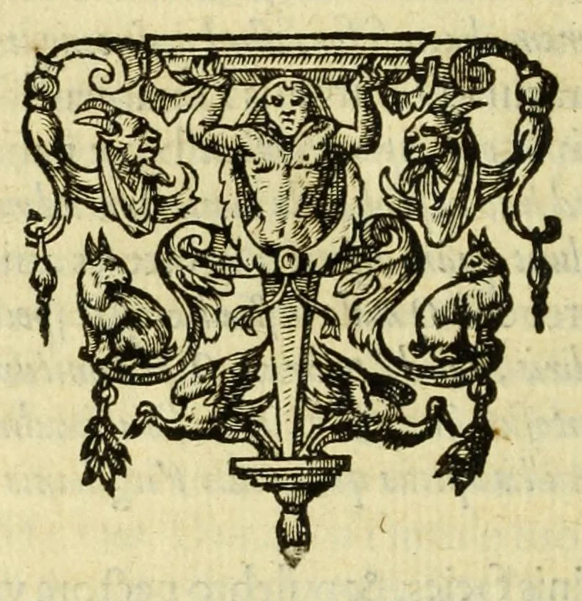 An illustration from Opera omnia, septem tomis distincta, postremum aucta & recognita, 1614, leaf 312
