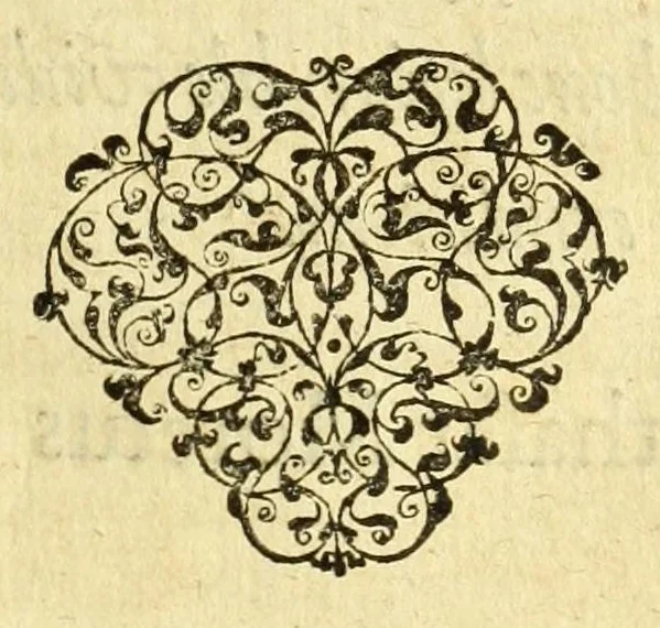 An illustration from Opera omnia, septem tomis distincta, postremum aucta & recognita, 1614, leaf 381