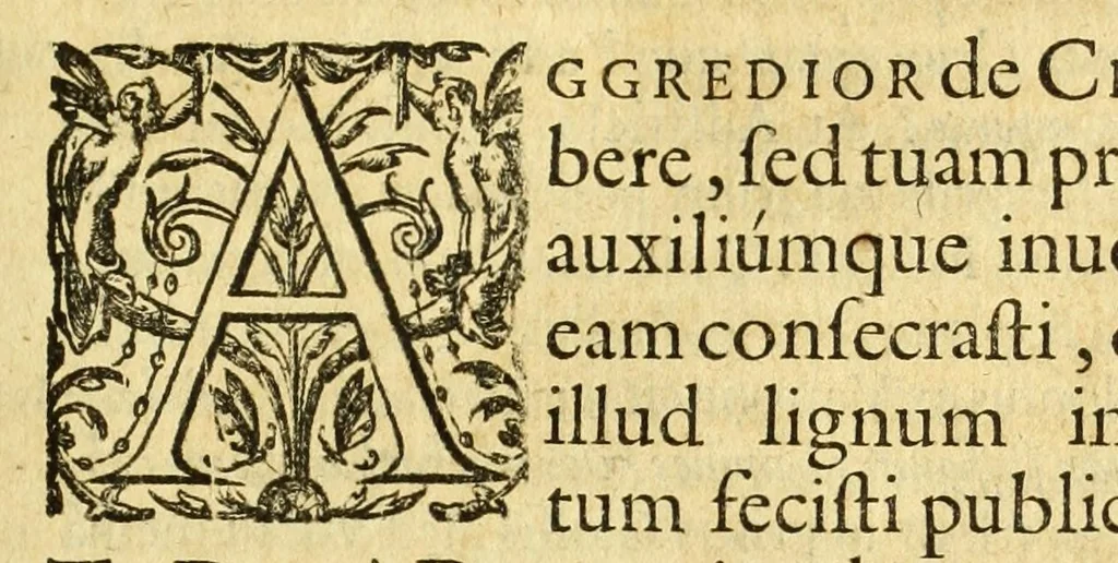 An illustration from Opera omnia, septem tomis distincta, postremum aucta & recognita, 1614, leaf 383
