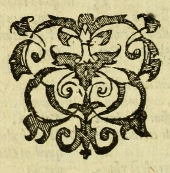 An illustration from Opera omnia, septem tomis distincta, postremum aucta & recognita, 1614, leaf 468