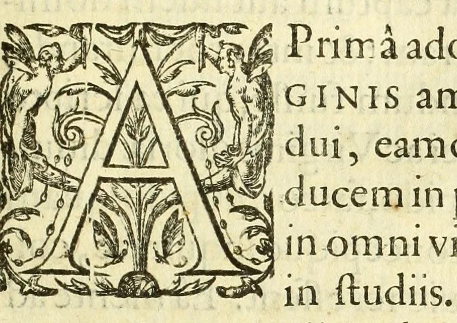 An illustration from Opera omnia, septem tomis distincta, postremum aucta & recognita, 1614, leaf 483