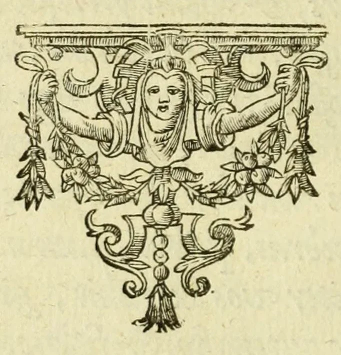 An illustration from Opera omnia, septem tomis distincta, postremum aucta & recognita, 1614, leaf 664