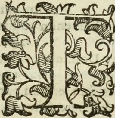 An illustration from Opera. Quibus adiecimus eiusdem authoris opuscula, non minus, quàm cetera omnia, & aurea, & diuinissima .., 1616, leaf 10