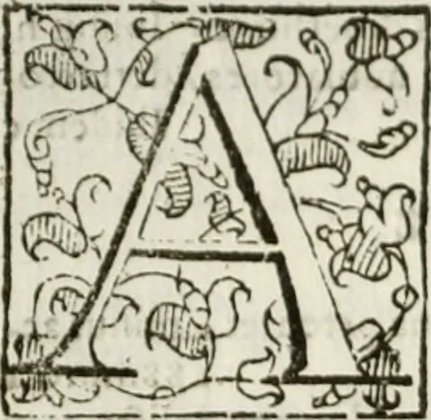 An illustration from Opera. Quibus adiecimus eiusdem authoris opuscula, non minus, quàm cetera omnia, & aurea, & diuinissima .., 1616, leaf 133
