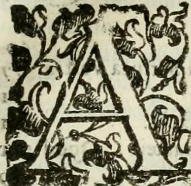 An illustration from Opera. Quibus adiecimus eiusdem authoris opuscula, non minus, quàm cetera omnia, & aurea, & diuinissima .., 1616, leaf 144