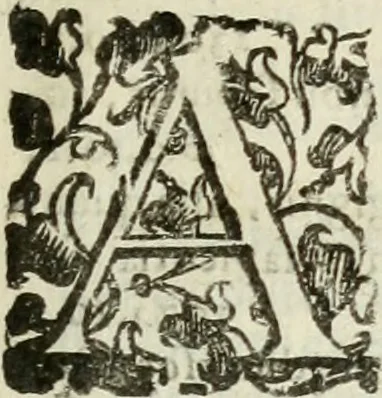 An illustration from Opera. Quibus adiecimus eiusdem authoris opuscula, non minus, quàm cetera omnia, & aurea, & diuinissima .., 1616, leaf 34