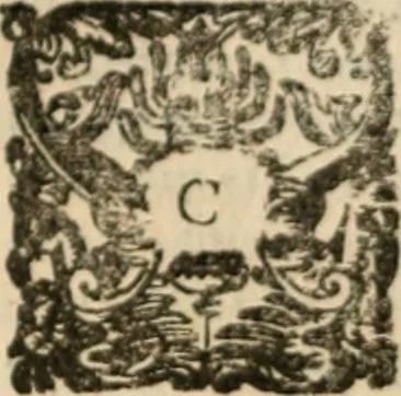 An illustration from Opera. Quibus adiecimus eiusdem authoris opuscula, non minus, quàm cetera omnia, & aurea, & diuinissima .., 1616, leaf 389