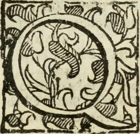 An illustration from Opera. Quibus adiecimus eiusdem authoris opuscula, non minus, quàm cetera omnia, & aurea, & diuinissima .., 1616, leaf 8