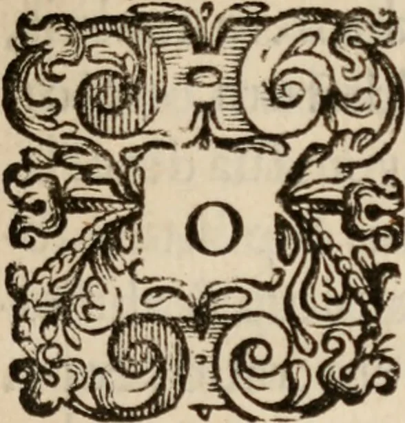 An illustration from Opera theologica .., 1629, leaf 6