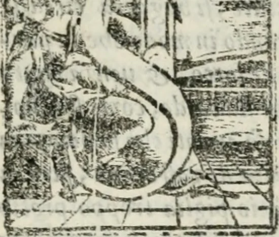 An illustration from Opera, 1570, leaf 688
