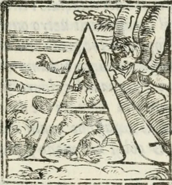 An illustration from Opera, 1570, leaf 812